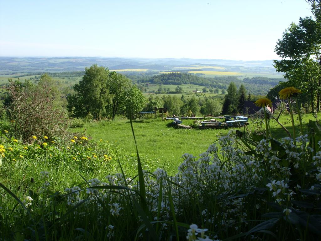 Villa Dom Panorama Pod Gwiazdami Kopaniec Habitación foto